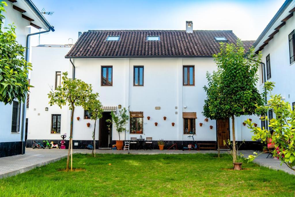 Los Patios De San Lorenzo Con Parking 코르도바 외부 사진